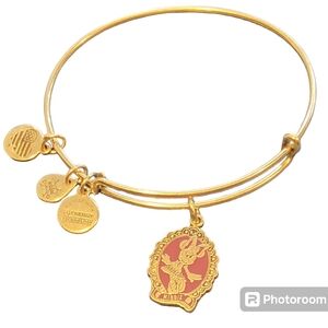 Alex & Ani Haunted Mansion Halloween Bracelet Mickey Mouse Minnie Gold Silver